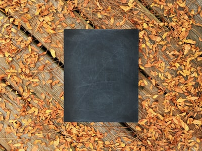 木质表面的黑板，上面有落叶
